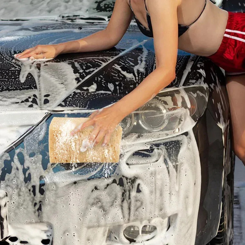 Spugna per lavaggio auto Spugn - Car Detailing Brush recensione e prezzo